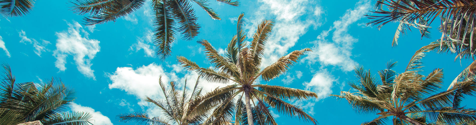 WE'D LOVE TO HEAR FROM YOU